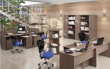 Комплект офисной мебели IMAGO - рабочее место, шкафы для документов в Омске - предосмотр 6